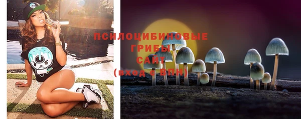 не бодяженный Аркадак